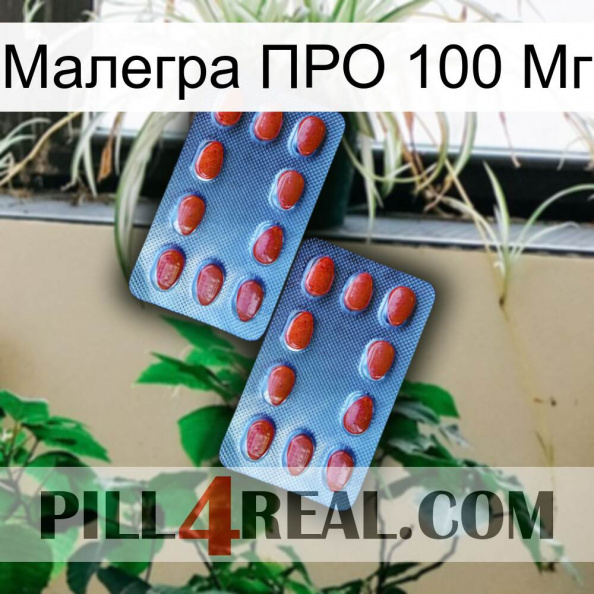 Малегра ПРО 100 Мг 05.jpg